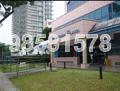 Lorong Mydin (D14), Terrace #134091512